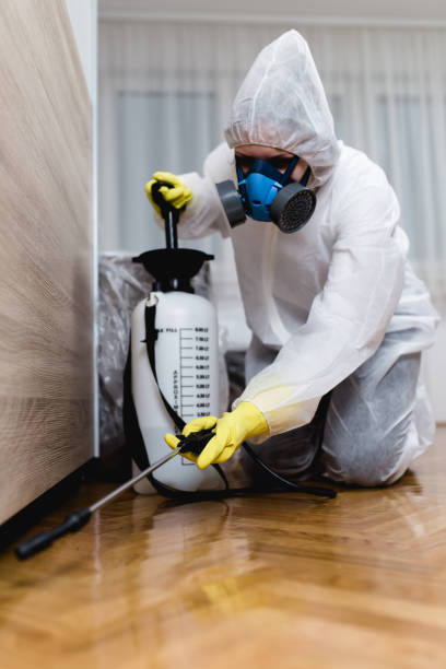 Best Indoor Pest Control  in Drexel Heights, AZ